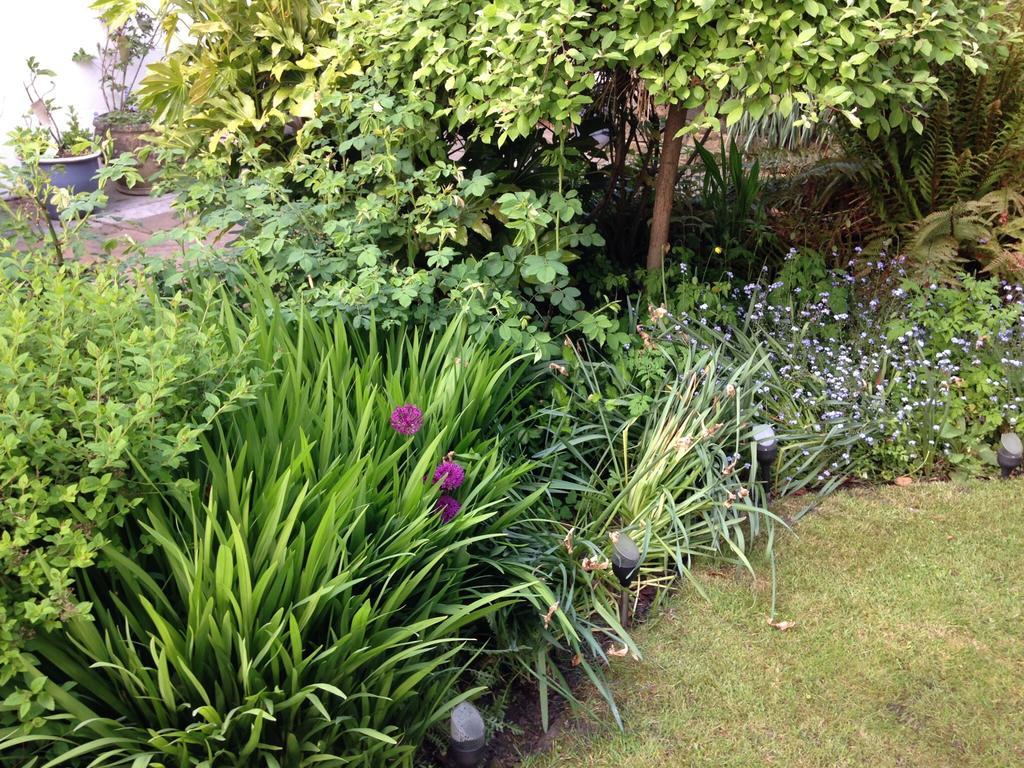 Willow Cottage B&B Yeadon Exteriör bild